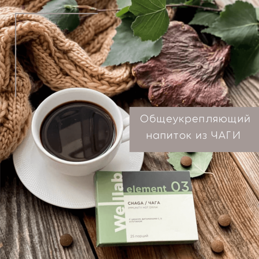 Чага Гринвей - Welllab Element Chaga Чага